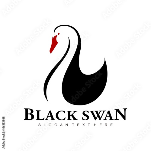 Fototapeta Naklejka Na Ścianę i Meble -  black swan logo brand design vector