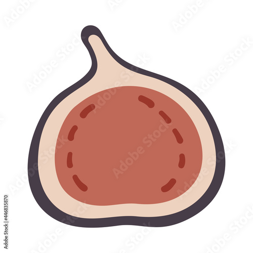 Isolated vector illustration of a fig for decoration