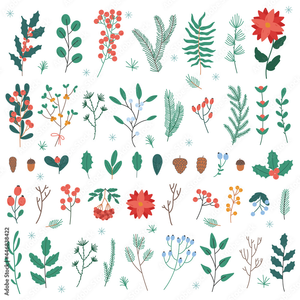 Naklejka Christmas plants and flowers. Xmas and New Year winter holidays decoration leaves, flowers and berries vector illustration set. Christmas floral elements