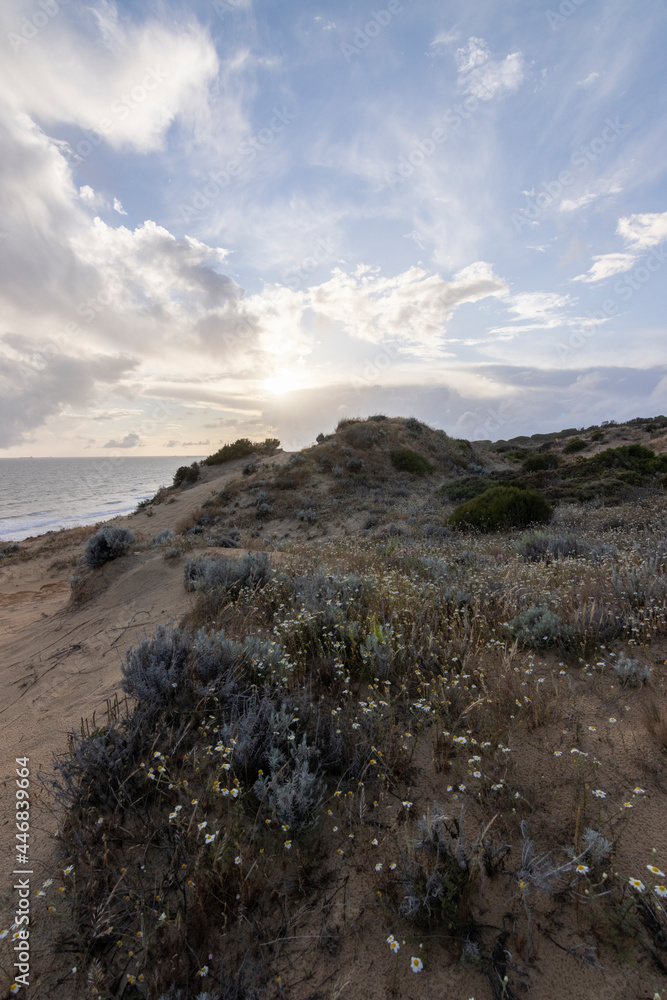 unas vistas de la bella playa de Mazagon, situada en la provincia de Huelva, España. Con sus acantilados , pinos, dunas , vegetacion verde y un cielo con nubes. Atardeceres preciosos
