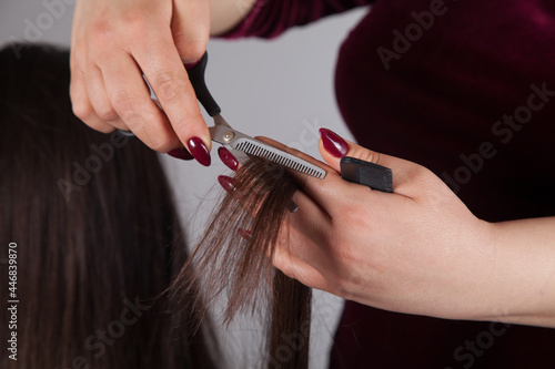Professional Hairdresser female cutting caucasian woman's hair.