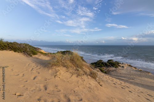 unas vistas de la bella playa de Mazagon  situada en la provincia de Huelva  Espa  a. Con sus acantilados   pinos  dunas   vegetacion verde y un cielo con nubes. Atardeceres preciosos