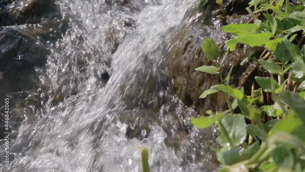 detail of a small river near plants and grasses detail of a small river near plants and grasses