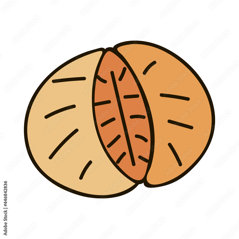 Obraz premium Hand drawn orange mandarin slices. Cute stylized christmas sign, for stickers, planners, scrap elements, social media. Vector illustration with hand drawn outline isolated on background.