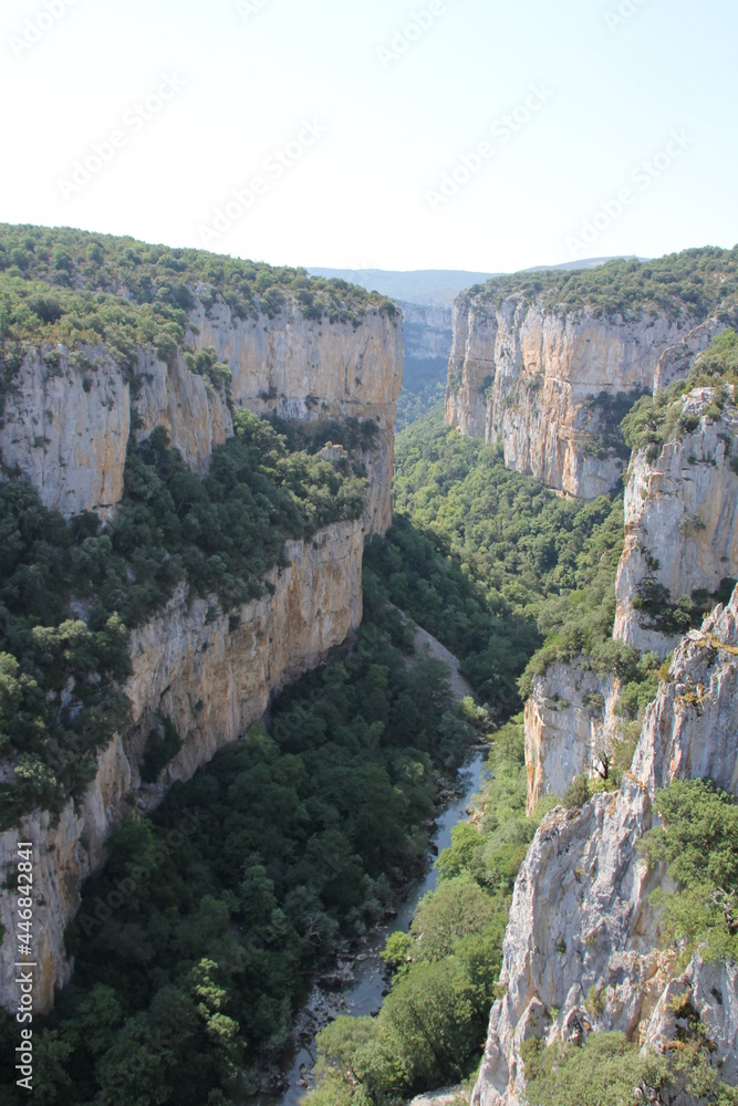 Cliffs with a lot of vegetation in the Foz de Arbayun in Navarra
