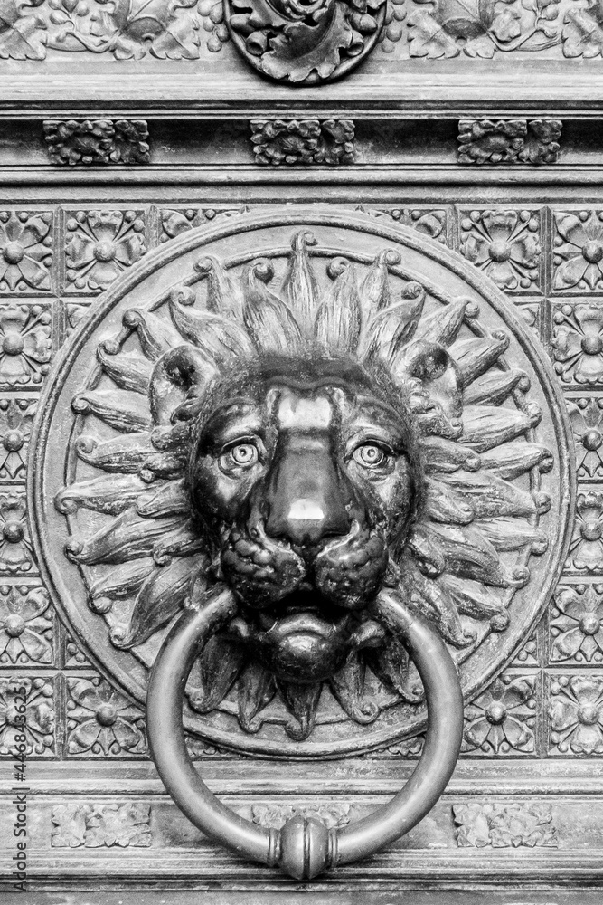 old metal door knocker doorbell lion. in lion shape