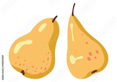 Ripe pears, tree fruit. Hand drawn vector illustration. Colored cartoon doodle of autumn harvest. Simple drawings isolated on white background. Elements for design, print, sticker, card, decor, wrap.