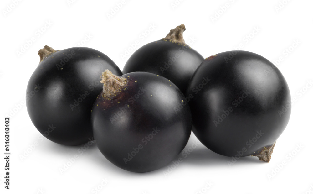 Ripe black currant isolated on white background. Fresh juicy berries. Ripe black currant isolated on white background. Fresh juicy berries.