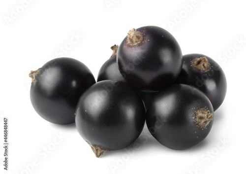 Ripe black currant isolated on white background. Fresh juicy berries.