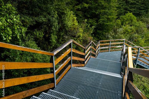 Walkways in the forest of Los Glaciares National Park