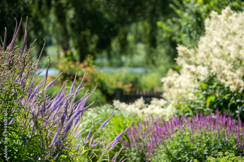 The Millennium Garden at Pensthorpe Natural Park, designed by Piet Oudolf, in Fakenham, North Norfolk. The garden is planted in naturalistic style.