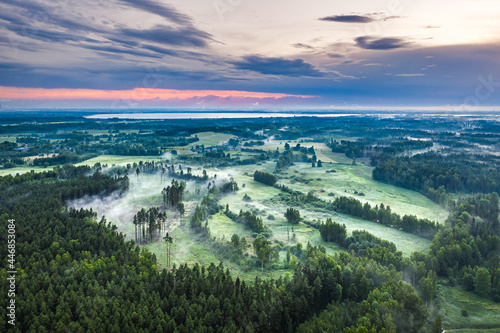 Aerial view of pine forest covered in mist. Sustainable ecosystem. Foggy morning with colorful sky in countryside.