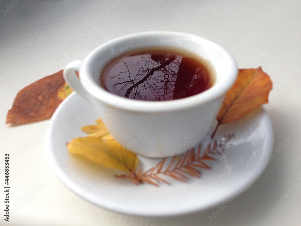 Cup of tea with autumn leaves, reflection of sky and trees inside the cup, on white table. Cup of tea with autumn leaves, reflection of sky and trees inside the cup, on white table.