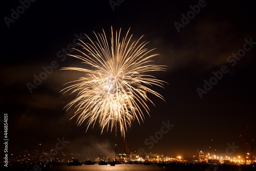 fireworks over the river