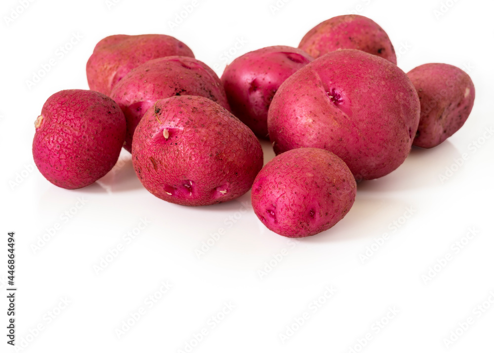 Freshly dug red potatoes on a white background. Freshly dug red potatoes on a white background.