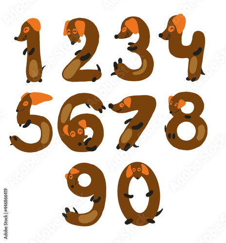 vector illustration of a number in the form of dogs dachshund number brown color hand drawing count from one to ten