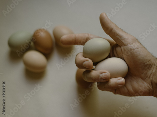 Leinwand Poster Farmer holds fresh eggs in hand