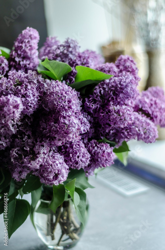 a bouquet of lilacs in a vase
