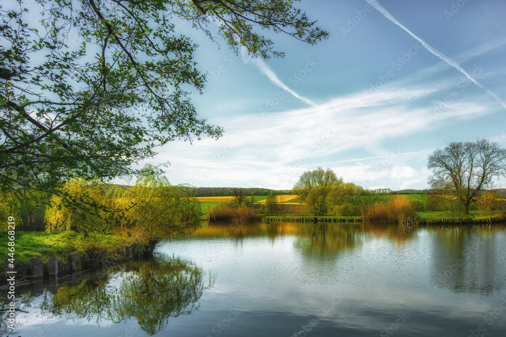 Obraz premium An idyllic small lake in the nature of the forest