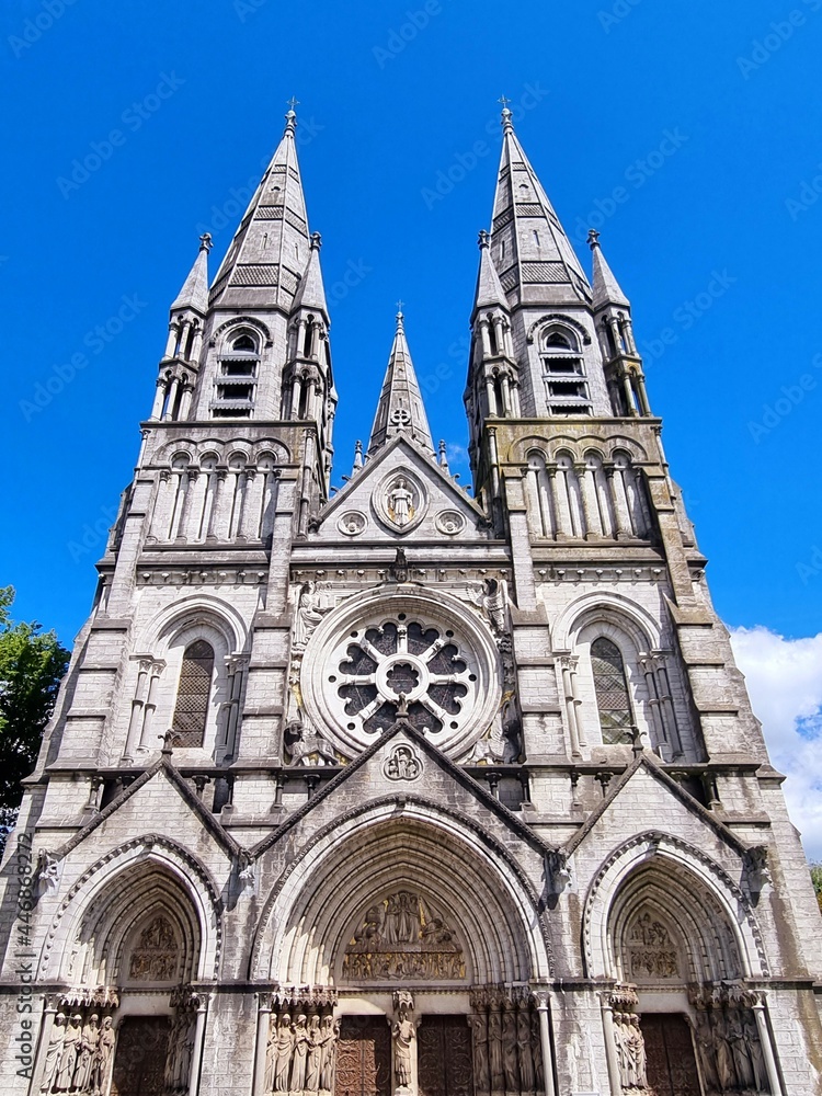  Saint Fin Barre's Cathedral, Ireland