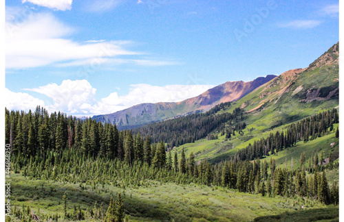 Trekking through Lush Colorado Mountains © Cavan