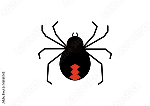 メスのセアカゴケグモーRed-back spider, Latrodectus hasseltii(female）