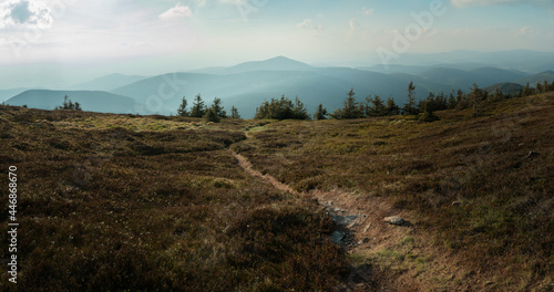Fototapeta Naklejka Na Ścianę i Meble -  Views from the peak of Králický Sněžník at sunset, Czarna Góra