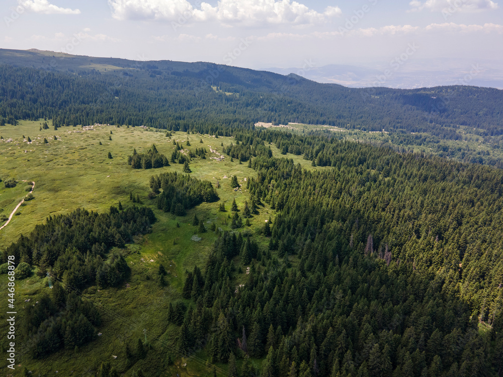 Fototapeta premium Aerial view of Konyarnika area ar Vitosha Mountain, Bulgaria
