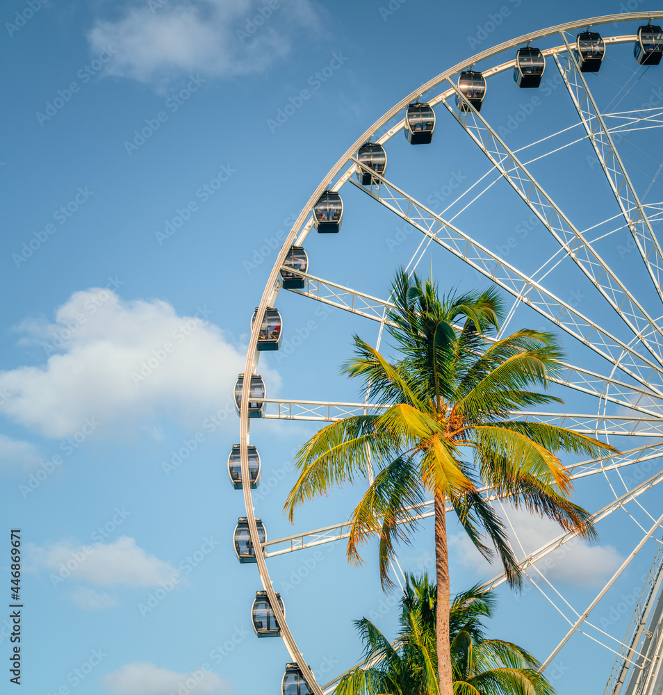 Obraz premium ferris wheel palm tropical vacation miami florida usa blue sky clouds