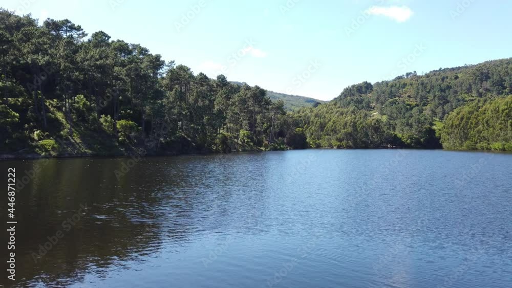 lake surrounded by trees in a forest with a mountain in background lake surrounded by trees in a forest with a mountain in background