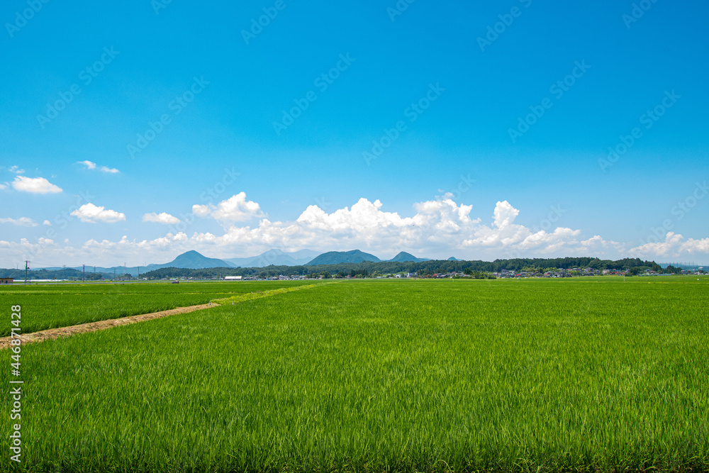 夏の雲と 夏の雲と