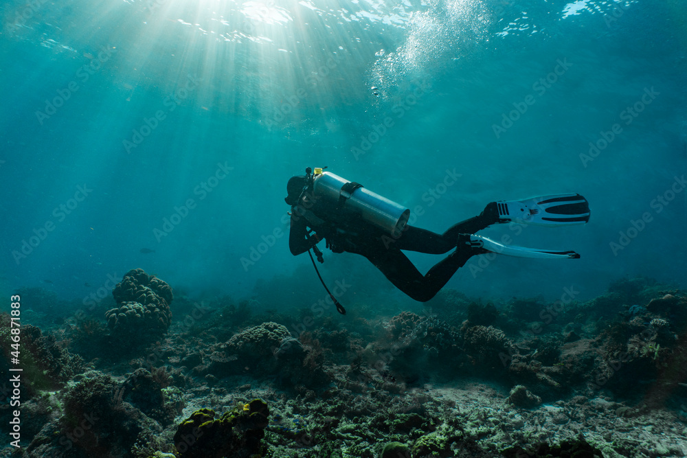 diver exploring the clear ocean at Raja Ampat / Indonesia diver exploring the clear ocean at Raja Ampat / Indonesia