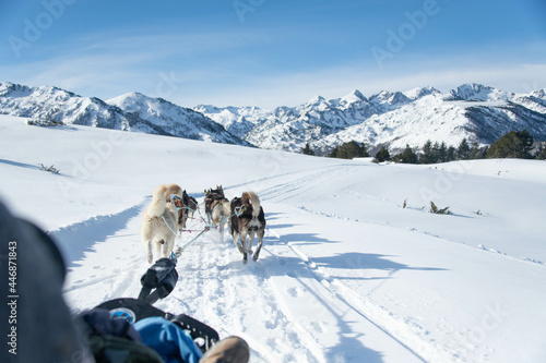 Rear view of sled dogs pulling sleigh on snowy landscape photo