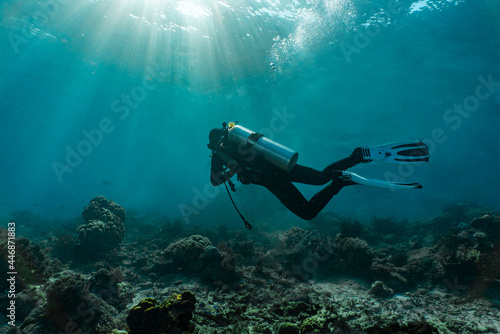 Wallpaper Mural diver exploring the clear ocean at Raja Ampat / Indonesia Torontodigital.ca