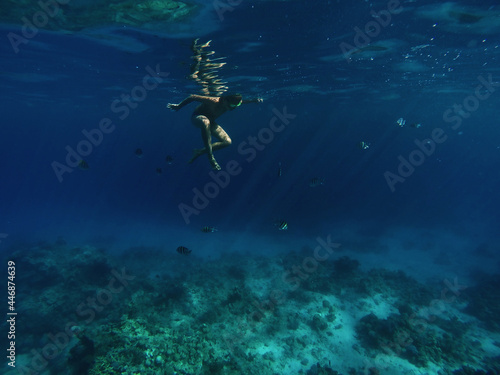 A boy is swimming under the water in red sea with fishes photo