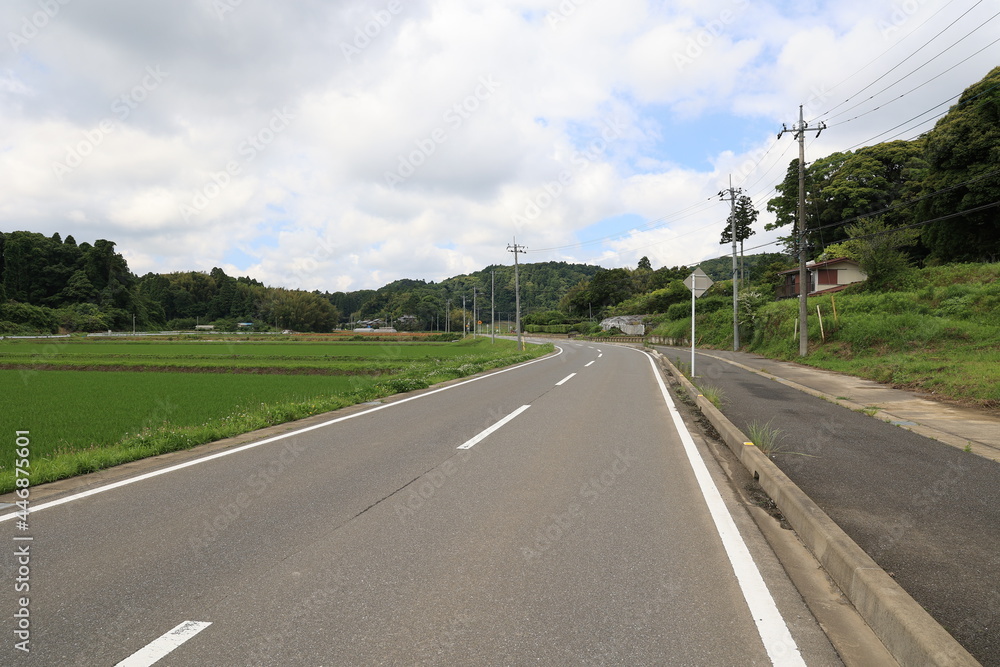 Fototapeta premium のどかな風景