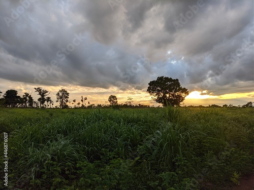 paisagens