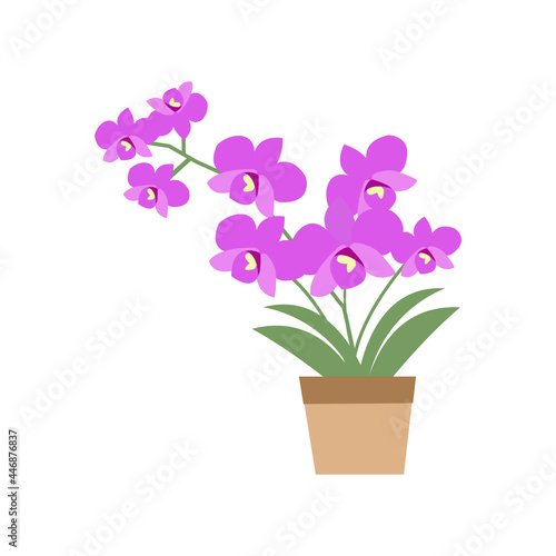 Orchid Flower On Potted Images Vector.