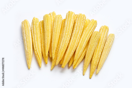 Baby corn on white background