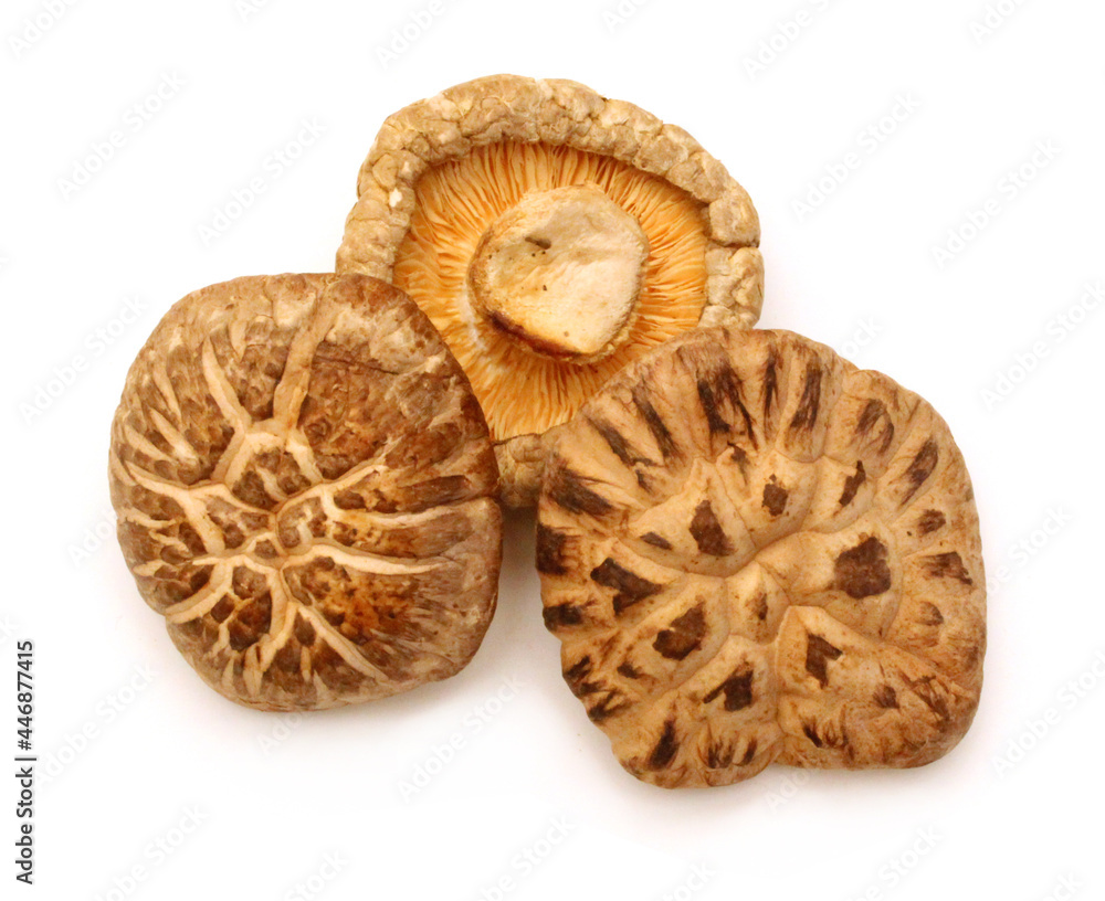 Mushrooms dry on white background Mushrooms dry on white background