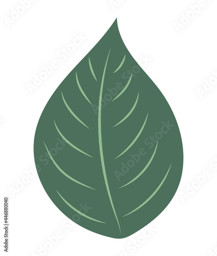 forest leaf design