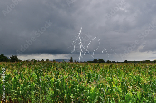 Dangeous thunder and rain storm over corn field