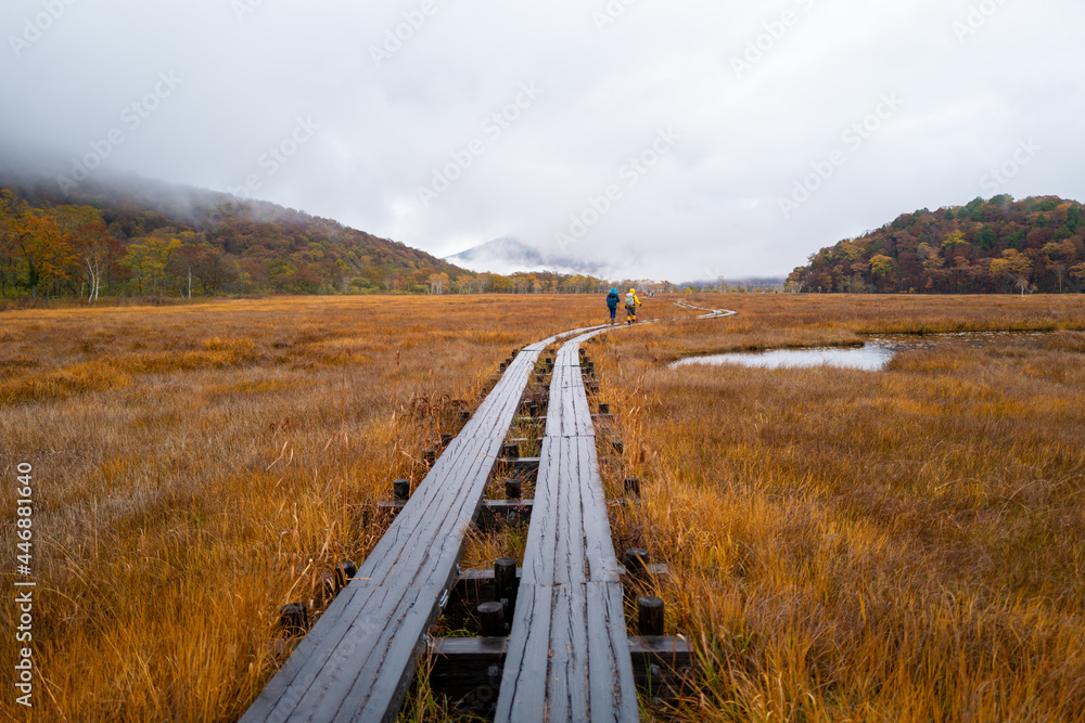 尾瀬ヶ原湿原の紅葉の風景 燧ヶ岳 至仏山 Scenery of autumn leaves in Ozegahara marshland Mt.Hiuchigadake Mt.Shibutsusan