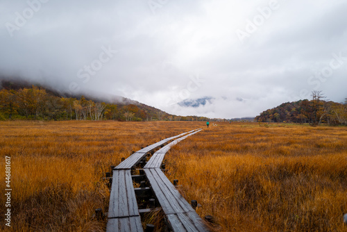 尾瀬ヶ原湿原の紅葉の風景 燧ヶ岳 至仏山 Scenery of autumn leaves in Ozegahara marshland Mt.Hiuchigadake Mt.Shibutsusan