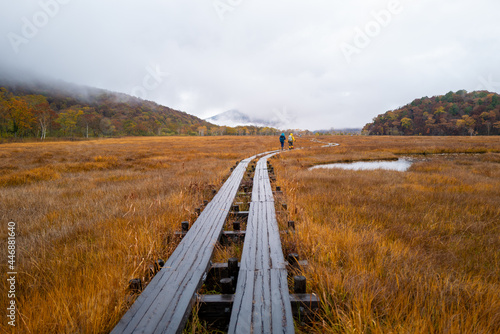 尾瀬ヶ原湿原の紅葉の風景 燧ヶ岳 至仏山 Scenery of autumn leaves in Ozegahara marshland Mt.Hiuchigadake Mt.Shibutsusan