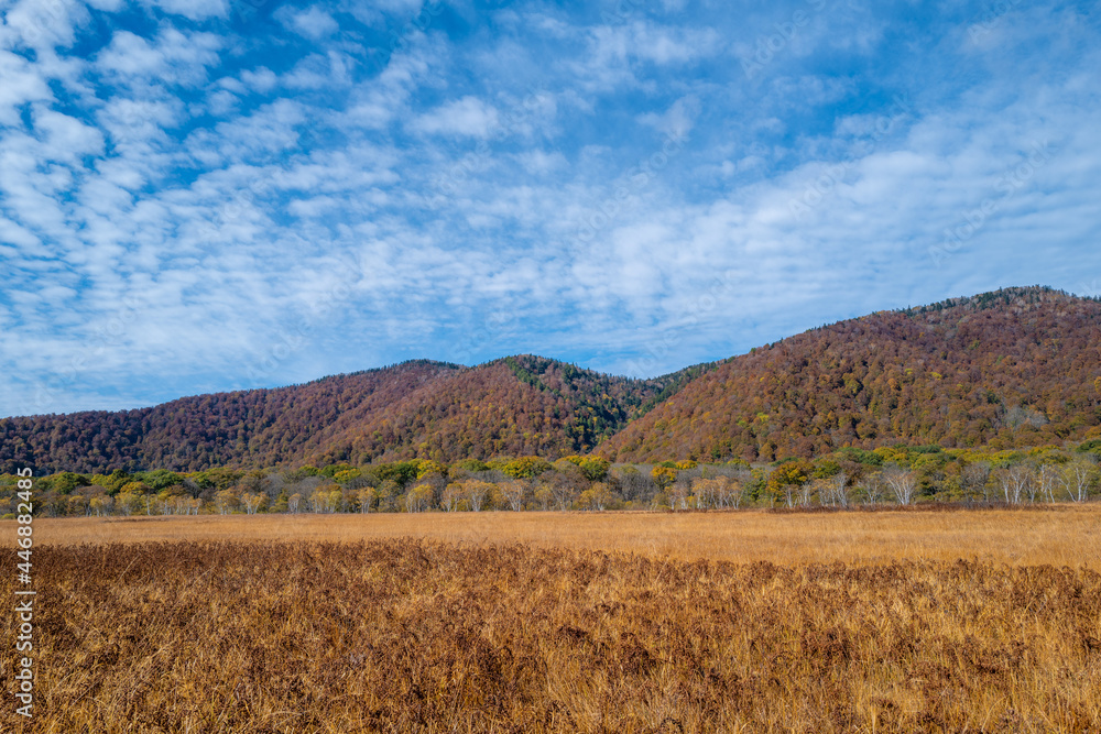 尾瀬ヶ原湿原の紅葉の風景 燧ヶ岳 至仏山 Scenery of autumn leaves in Ozegahara marshland Mt.Hiuchigadake Mt.Shibutsusan