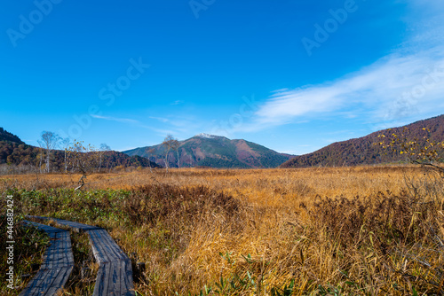 尾瀬ヶ原湿原の紅葉の風景 燧ヶ岳 至仏山 Scenery of autumn leaves in Ozegahara marshland Mt.Hiuchigadake Mt.Shibutsusan