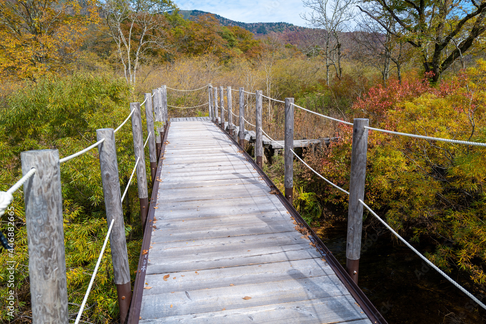 尾瀬ヶ原湿原の紅葉の風景 燧ヶ岳 至仏山 Scenery of autumn leaves in Ozegahara marshland Mt.Hiuchigadake Mt.Shibutsusan