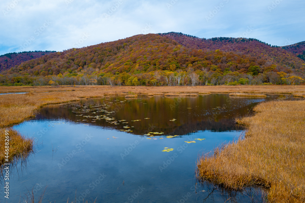 尾瀬ヶ原湿原の紅葉の風景 燧ヶ岳 至仏山 Scenery of autumn leaves in Ozegahara marshland Mt.Hiuchigadake Mt.Shibutsusan 尾瀬ヶ原湿原の紅葉の風景 燧ヶ岳 至仏山 Scenery of autumn leaves in Ozegahara marshland Mt.Hiuchigadake Mt.Shibutsusan