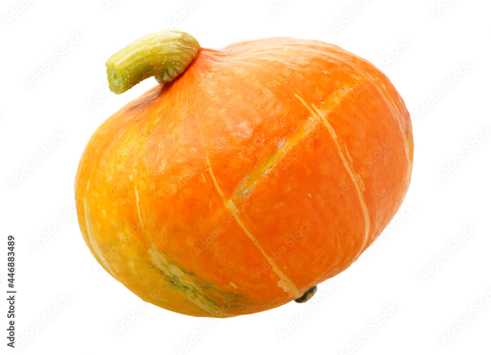 Orange pumpkin on white background Orange pumpkin on white background